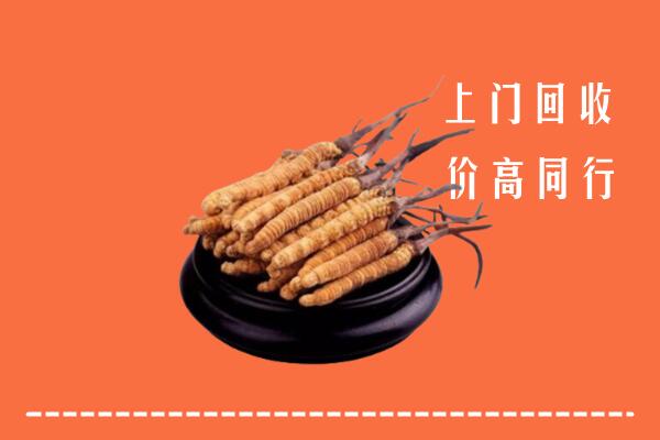 徽州区回收冬虫夏草