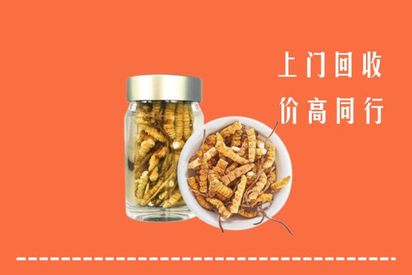 徽州区回收冬虫夏草
